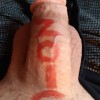 bneengy44's profile