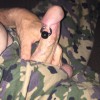 ringman's profile