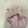 's profile