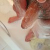 mefitter's profile
