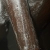 's profile