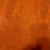 Beardrideguy's profile