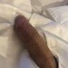 Schaamhaar's profile