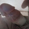 's profile
