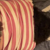 rameman24's profile