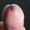 's profile