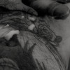 Wilhelmhorny's profile