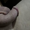 's profile