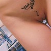 's profile