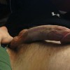 's profile