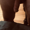 's profile