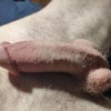 Swinetime98's profile