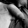 's profile