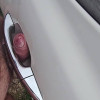 luvtotug's profile