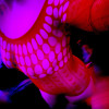 's profile