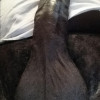 hard41cock41's profile