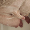 's profile
