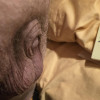 's profile