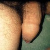 oguiccup's profile