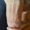 Tchopjoe's profile