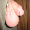 's profile