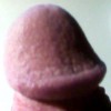 's profile