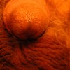luvsoral's profile