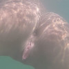 Under water flying lips