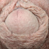 Talking & watching a friend on zoig  starting to drip  outside play  CUM join me