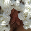 Almost forgot the cream sorry guys